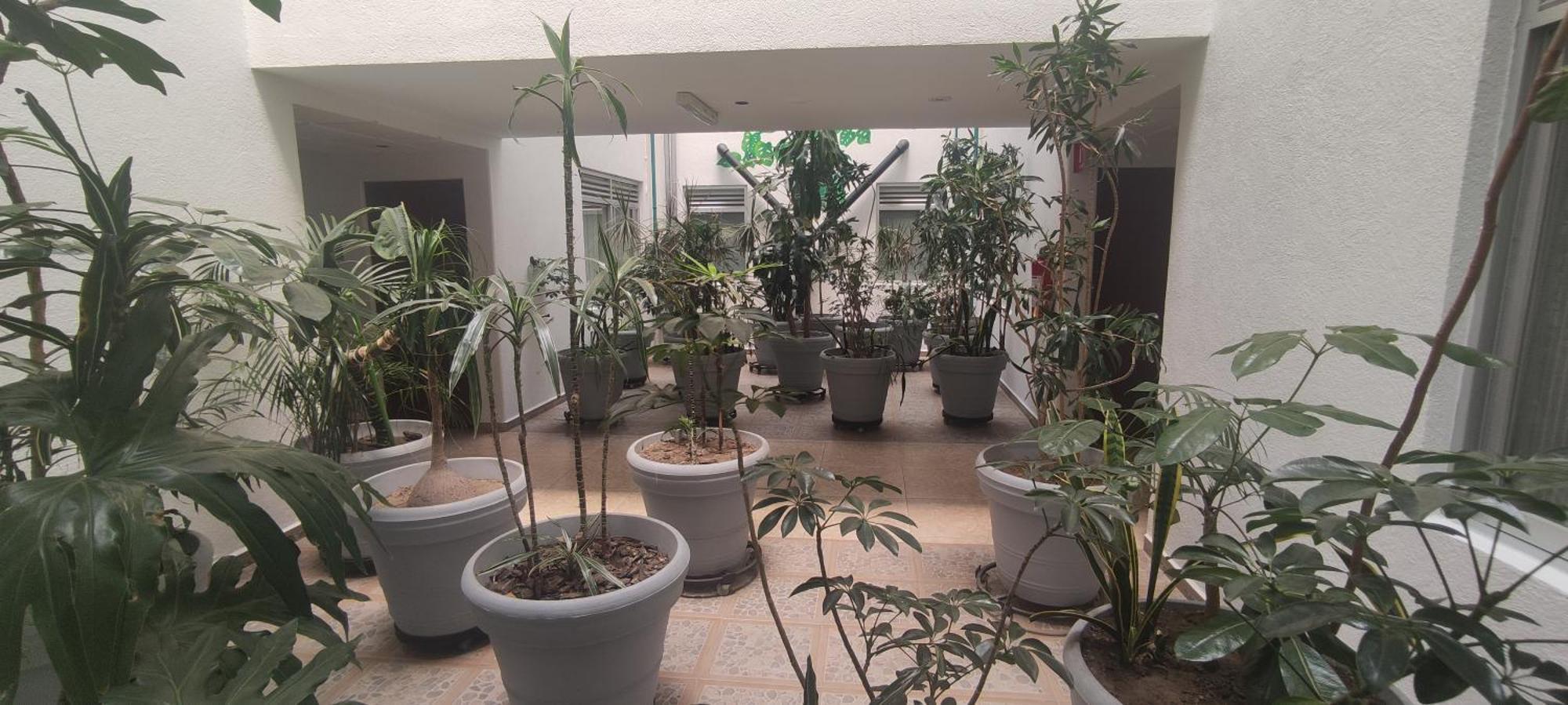 哈瓦那酒店 墨西哥城 外观 照片